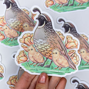 Quail and Chick Waterproof Vinyl Sticker