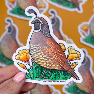 Quail Vinyl Waterproof Sticker