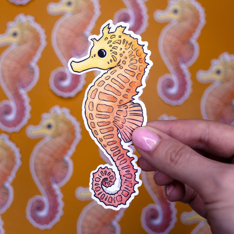 Seahorse Waterproof Vinyl Sticker