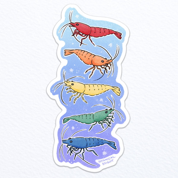 Shrimps of the Rainbow Waterproof Vinyl Sticker