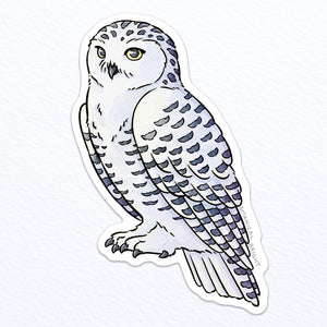 Snowy Owl Waterproof Vinyl Sticker