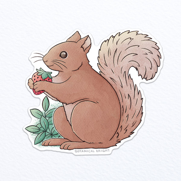 Squirrel Waterproof Vinyl Sticker