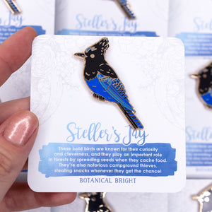 Steller's Jay Enamel Pin