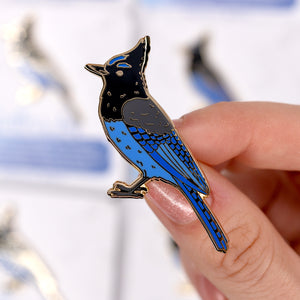 Steller's Jay Enamel Pin