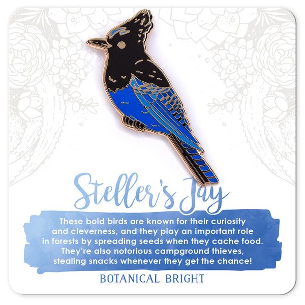 Steller's Jay Enamel Pin