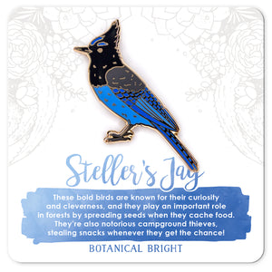 Steller's Jay Enamel Pin