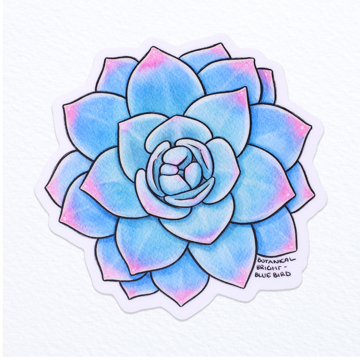 California Poppy Flower Waterproof Vinyl Sticker – Botanical Bright - Add a  Little Beauty to Your Everyday