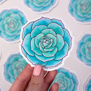 Succulent Echeveria Imbricata Waterproof Vinyl Sticker