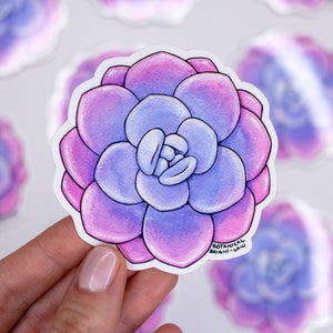 Succulent Echeveria Laui  Waterproof Vinyl Sticker