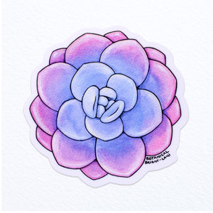 Succulent Echeveria Laui  Waterproof Vinyl Sticker