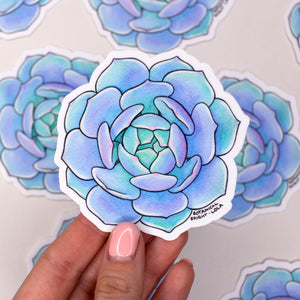 Succulent Echeveria Lola Waterproof Vinyl Sticker