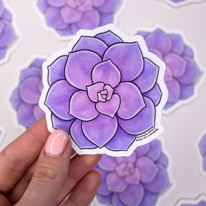 Succulent Echeveria Perle Von Nurnberg Waterproof Vinyl Sticker