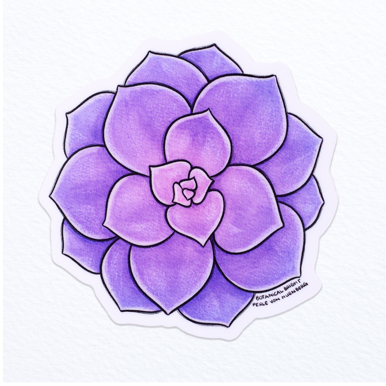 Purply Succulents Vinyl