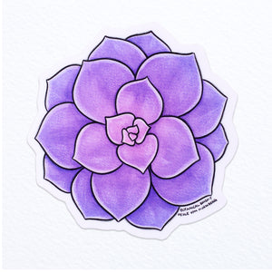 Succulent Echeveria Perle Von Nurnberg Waterproof Vinyl Sticker