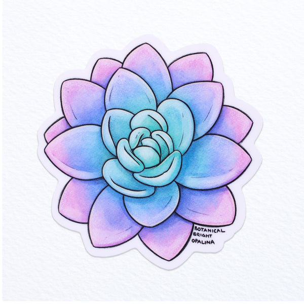 Succulent Graptoveria Opalina Waterproof Vinyl Sticker