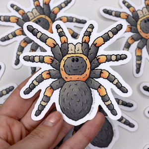 Tarantula Waterproof Vinyl Sticker