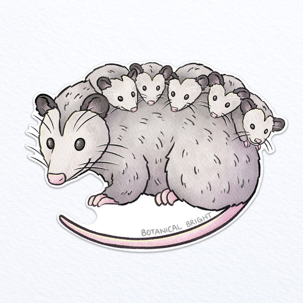 Opossum Waterproof Vinyl Sticker