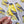 Load image into Gallery viewer, Goldfinch Bird Waterproof Vinyl Sticker
