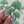 Ginkgo Leaf Waterproof Vinyl Sticker