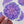 Succulent Echeveria Perle Von Nurnberg Waterproof Vinyl Sticker