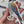 Kestrel Waterproof Vinyl Sticker
