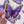 Purple Emperor Butterfly Waterproof Vinyl Sticker