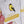 Goldfinch Enamel Pin