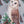 Barn Owl Waterproof Sticker