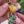 California Poppy Glitter Acrylic Keychain