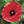 Load image into Gallery viewer, Red Poppy Enamel Pin
