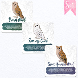 Barn Owl, Snowy Owl & Great Horned Owl Enamel Pin Set