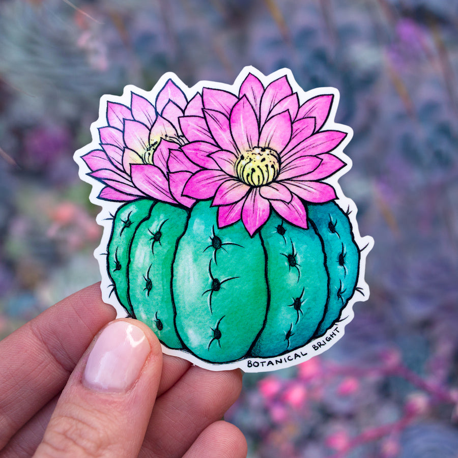 Round Blooming Cactus Waterproof Vinyl Sticker