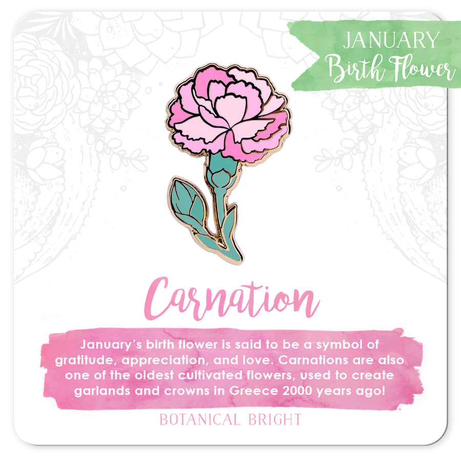 https://botanicalbright.com/cdn/shop/products/Botanical-Bright-Carnation-Enamel-Pin-January-Birth-Flower-Gift-BackingCard-7_900x.jpg?v=1660410023