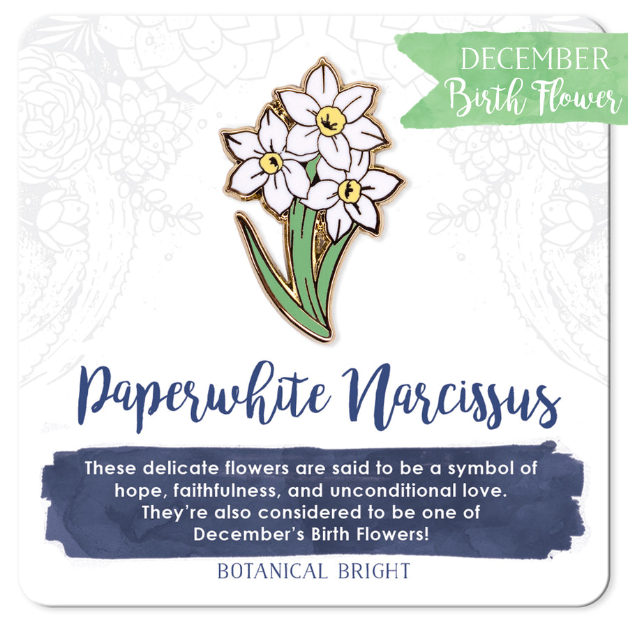 December Birth Flowers: Holly and Narcissus (Paperwhite)
