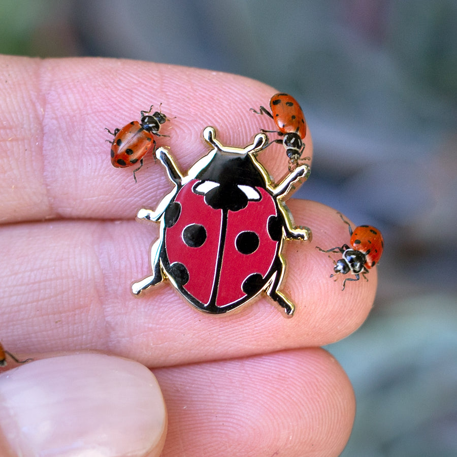 Ladybug Enamel Pin