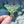 Load image into Gallery viewer, Moth Enamel Pin Set
