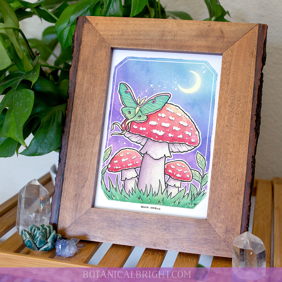 Luna Moth & Mushrooms Art Print