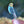 Load image into Gallery viewer, Rainbow Parakeet Enamel Pin
