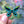 Load image into Gallery viewer, Birdwing Butterfly Enamel Pin
