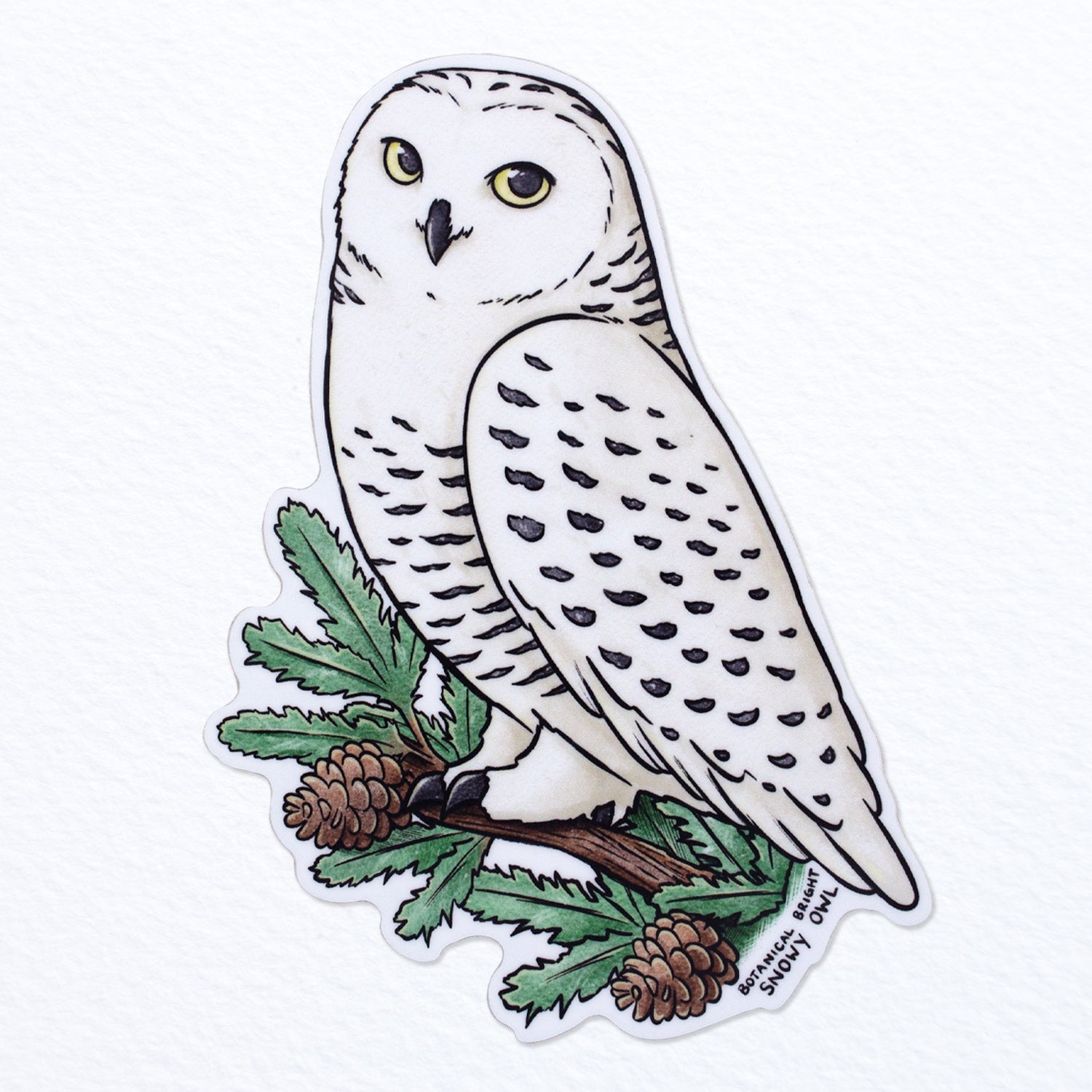 Snowy Owl Waterproof Sticker – Botanical Bright - Add a Little Beauty ...