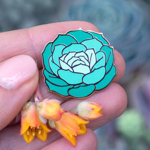 Imbricata Succulent Enamel Pin