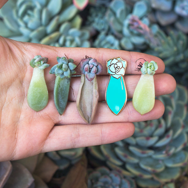 Succulent Propagation Enamel Pin - Green