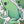 Load and play video in Gallery viewer, Garden Frog Waterproof Sticker
