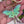 Load and play video in Gallery viewer, Luna Moth Glitter Acrylic Keychain
